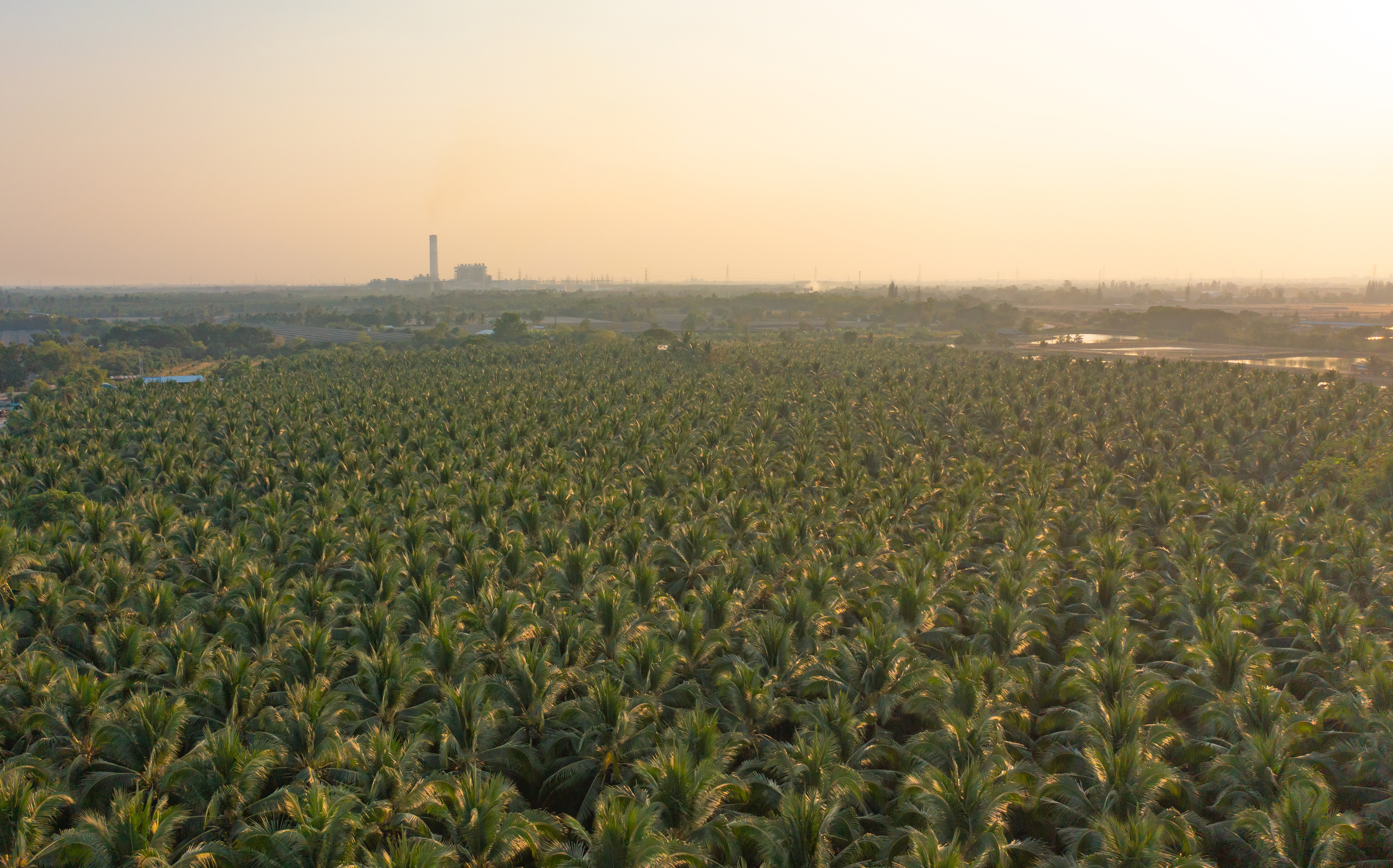 Solusi Terpadu untuk